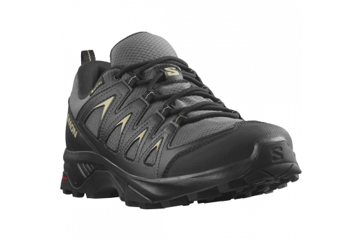 SALOMON X BRAZE GTX hiking footwear - black/grey