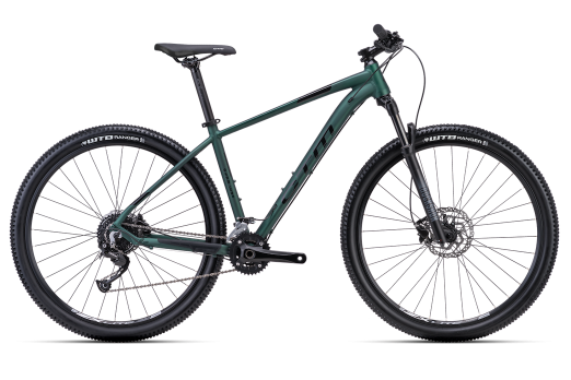 CTM RAMBLER 2.0 29 bicycle - green 2024