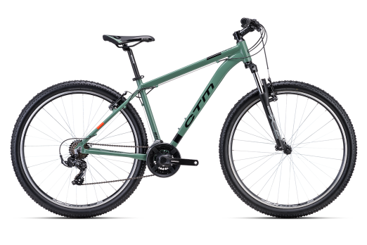 CTM REIN 1.0 29 bicycle - green 2024