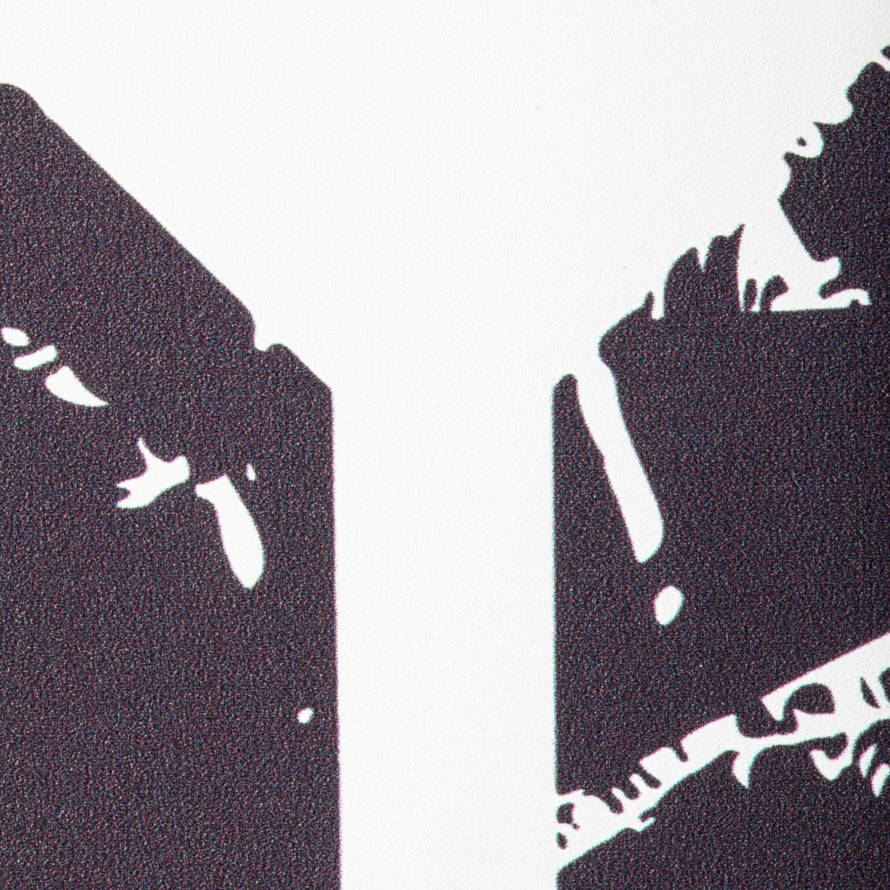 ONIX VOYAGER PRO PICKLEBALL paddle - white - ONIX - Evelostore