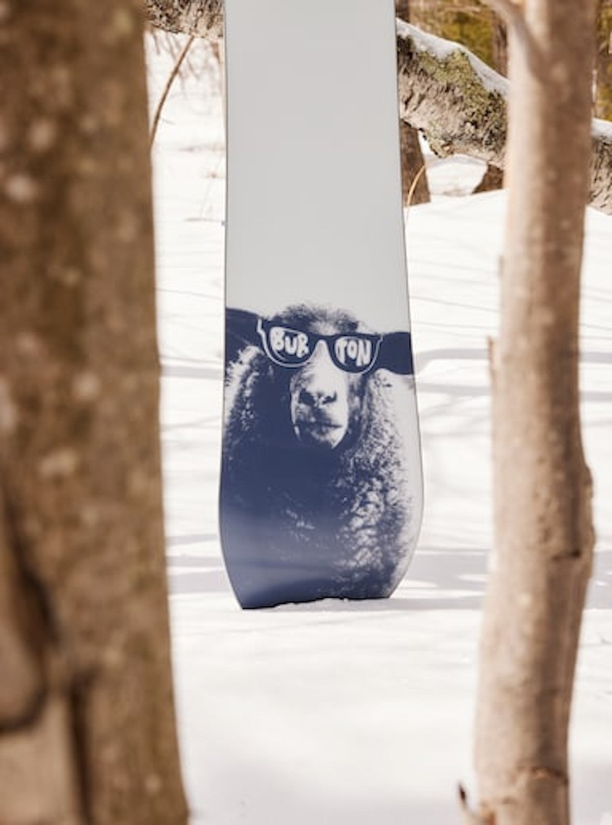 BURTON YEASAYER-snowboard til kvinder - hvid/violet