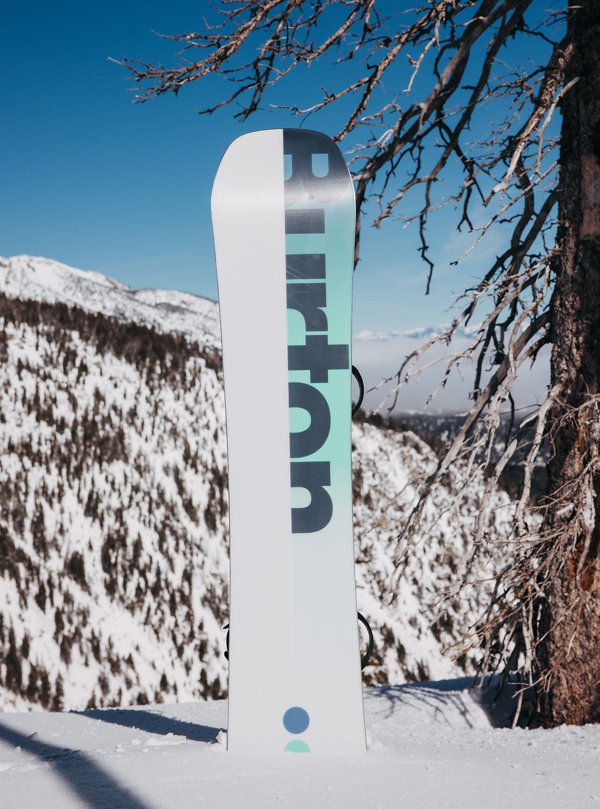BURTON CUSTOM WIDE GRAPHIC-snowboard