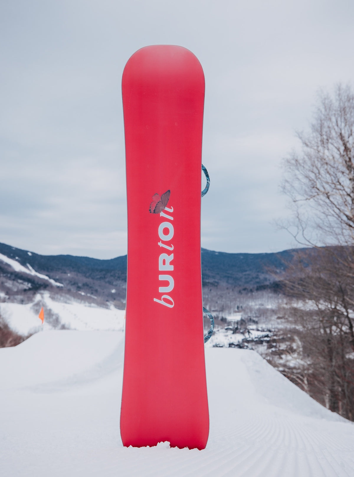 BURTON TALENT SCOUT-snowboard til kvinder
