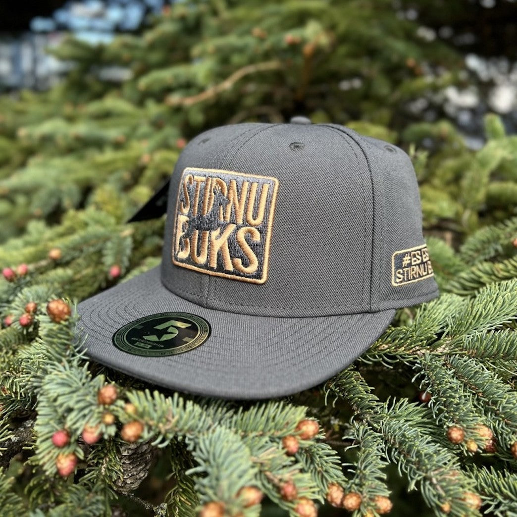 STIRNU BUKS cepure ar taisnu nagu FIVESTARS - tumši pelēka