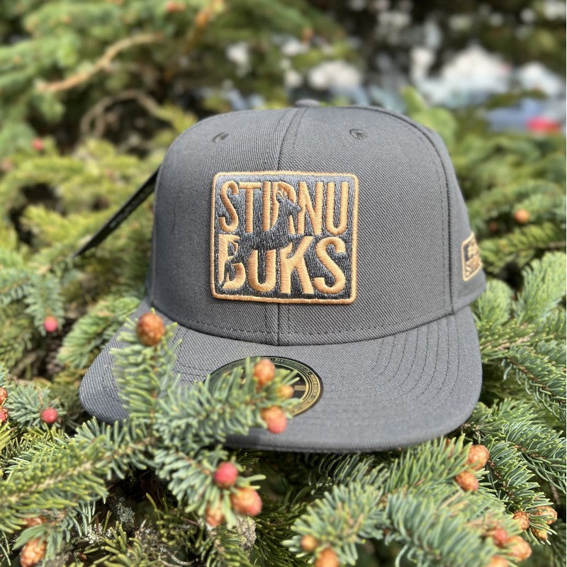 STIRNU BUKS cepure ar taisnu nagu FIVESTARS - tumši pelēka