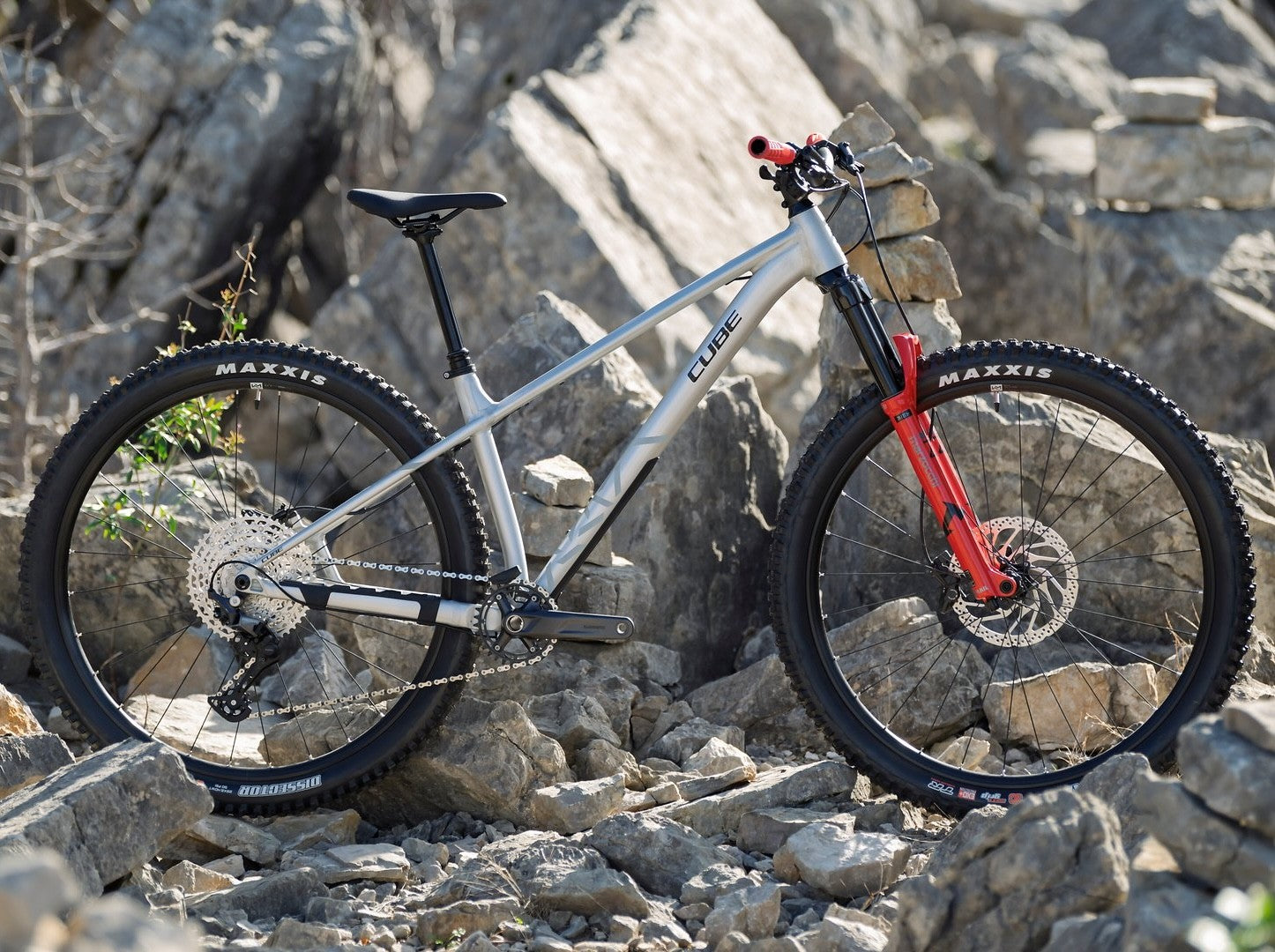 CUBE REACTION TM PRO 29 mountain bike - rawmetal´n´reflect