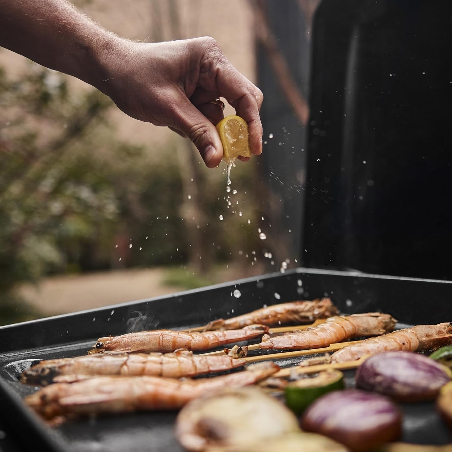 WEBER SLATE GP 43 cm Premium Griddle Gas Grill – 1501161 - WEBER - Evelostore