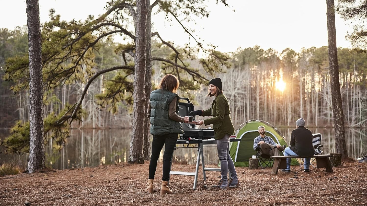 WEBER SLATE GP 43 cm Premium Griddle Gas Grill – 1501161 - WEBER - Evelostore