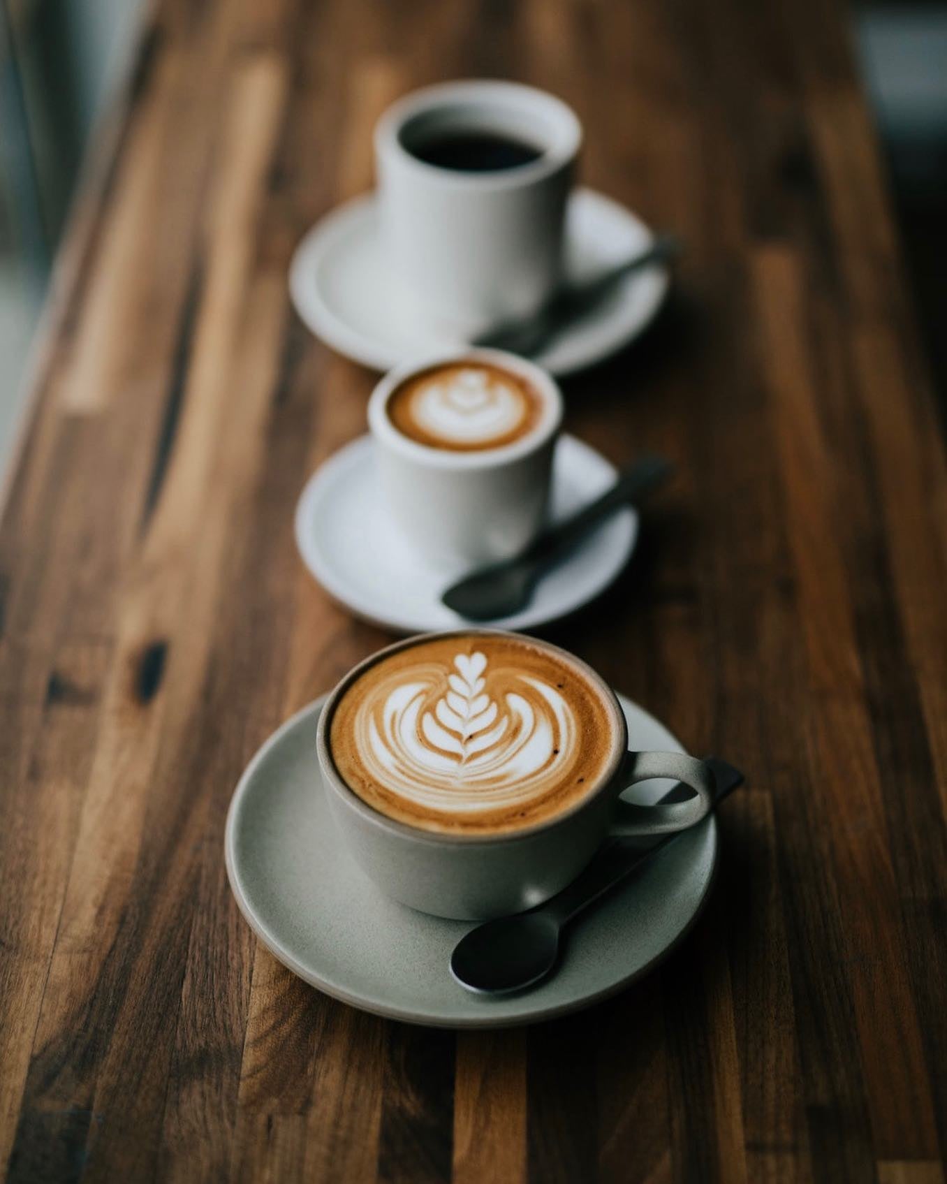 MAURO CENTOPERCENTO ground coffee – 250 g - CAFFÉ MAURO - Evelostore