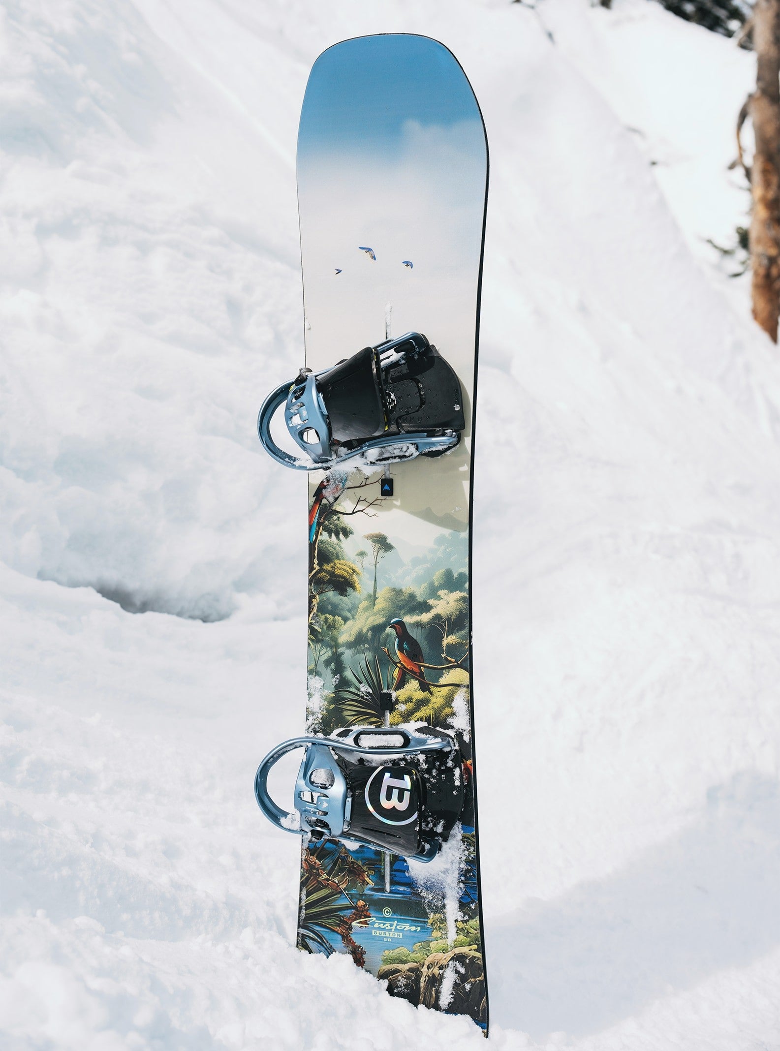 burton custom snowboard with teddy bear Men's Camber Underneath that eagerness for speed sits a Dragonfly 600G Core reinforced with Multizone EGD Custom Camber Jungle Sports