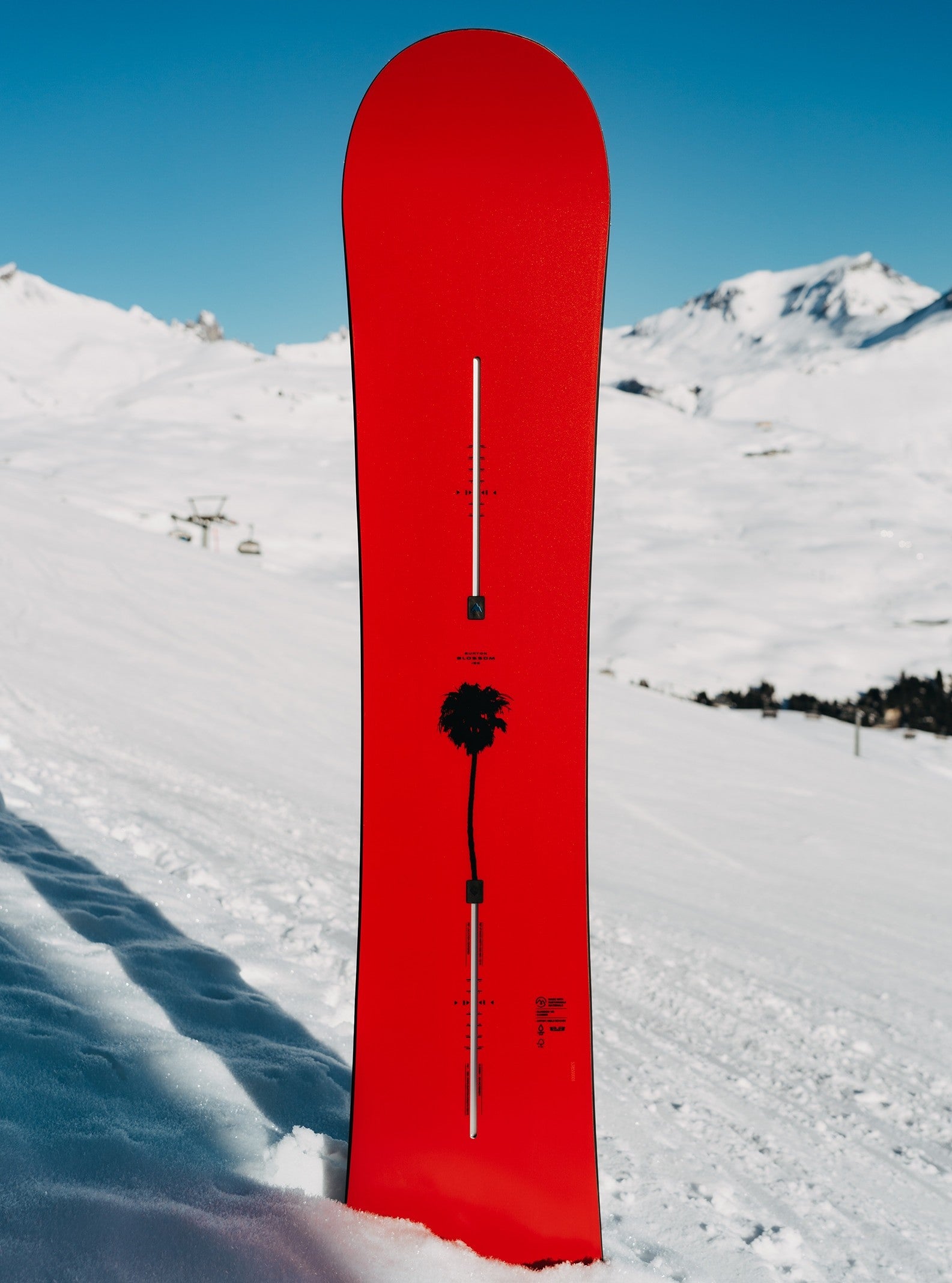 BURTON BLOSSOM snowboard - cherry blossom