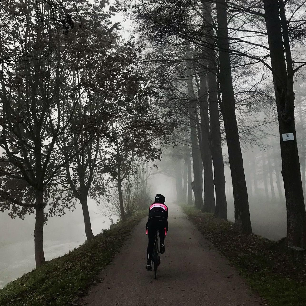 ELEVEN SPORTSWEAR Dame cykeljakke - LYSE horisontal