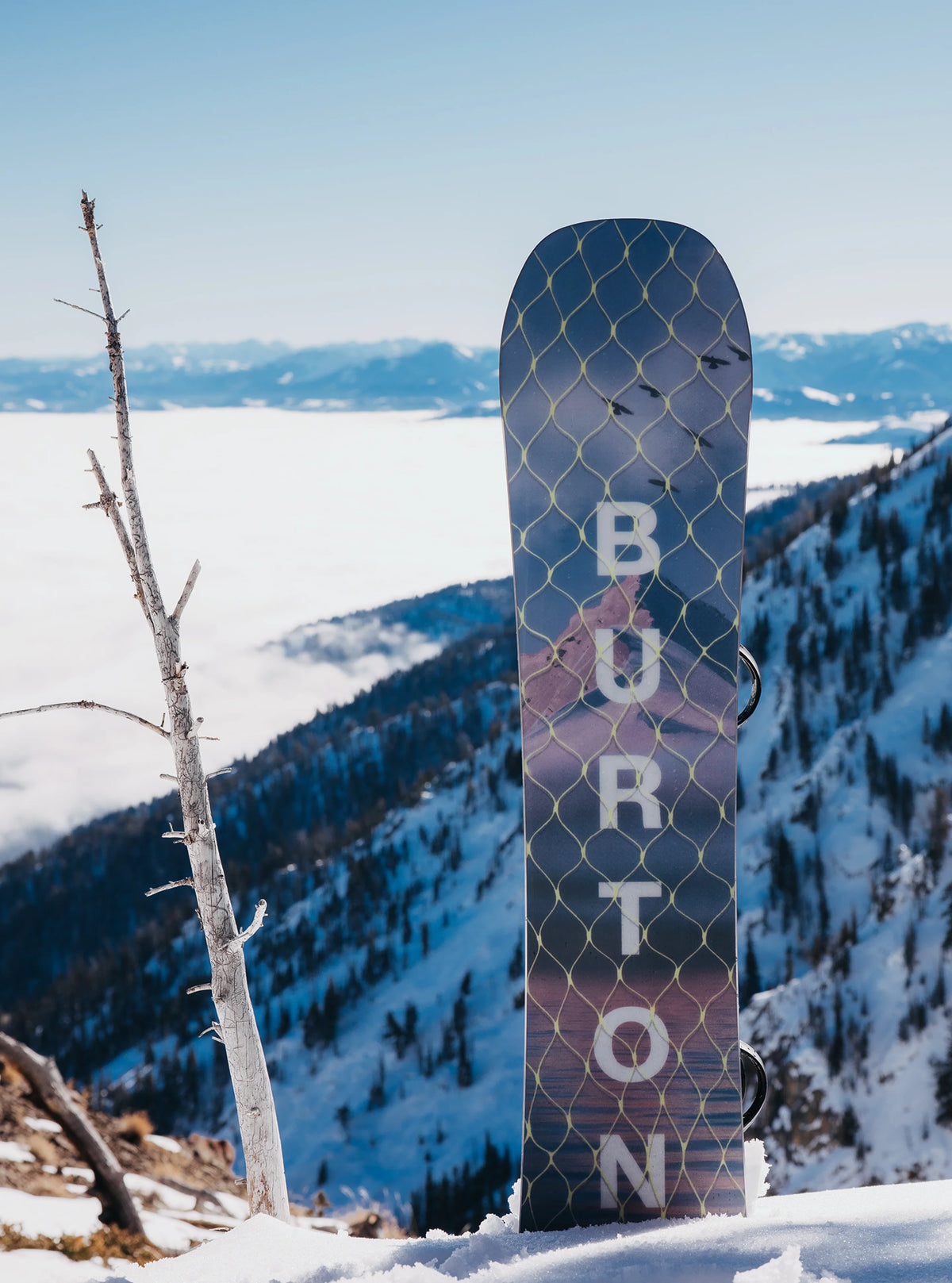 BURTON STORY BOARD-snowboard til kvinder