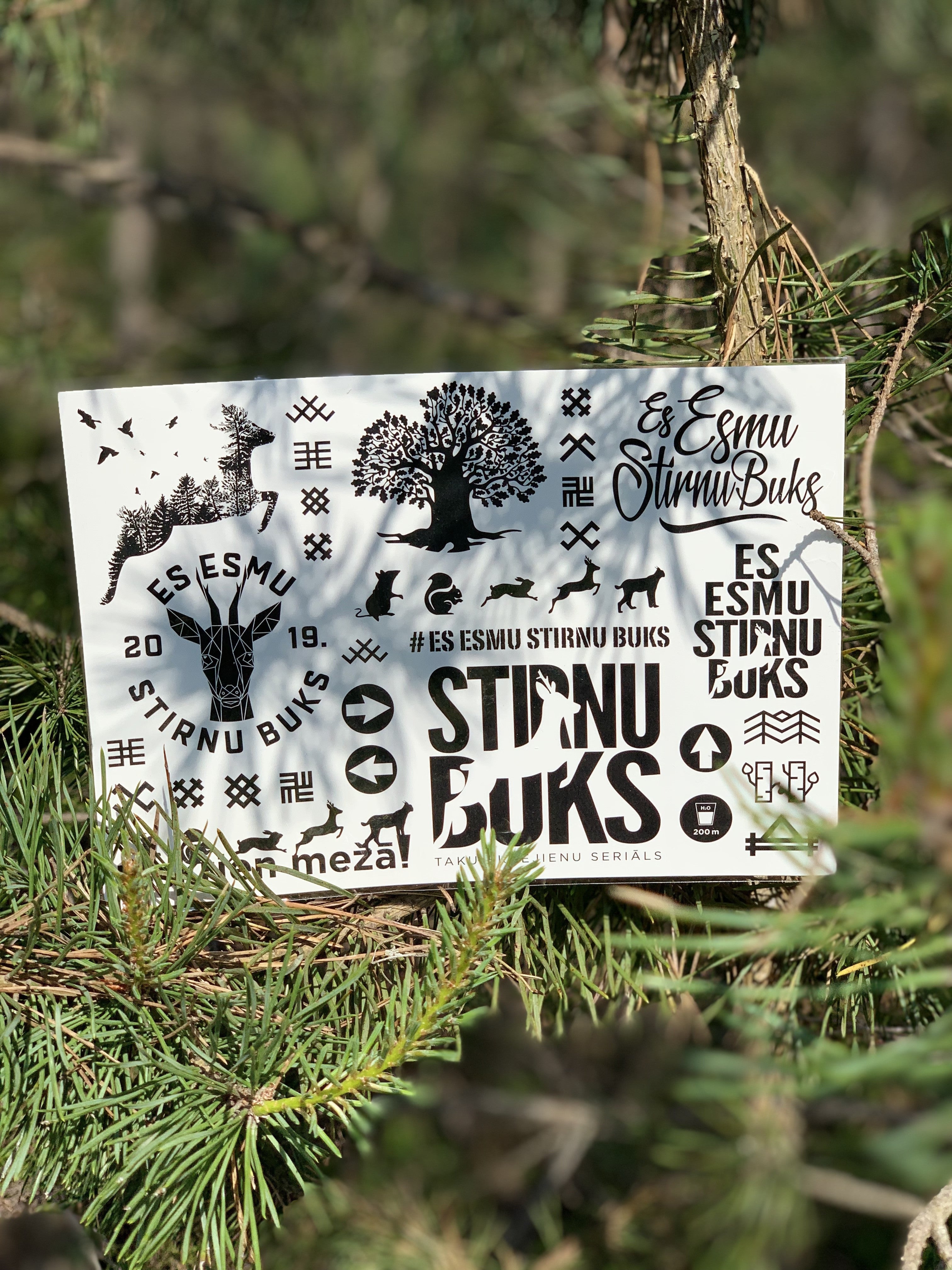 STIRNU BUKS Tattoo pack - ELEVEN SPORTSWEAR - Evelostore