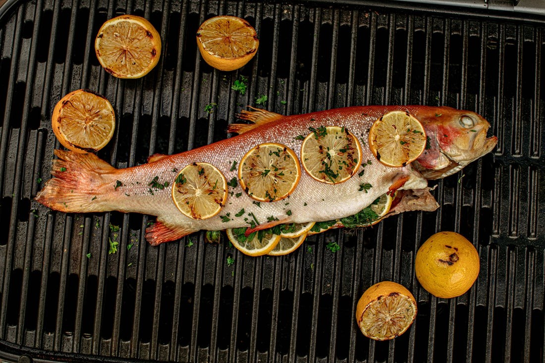 WEBER TRAVELER Gāzes grils, 9010069