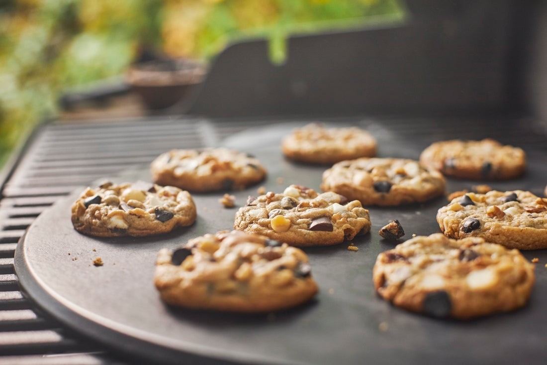 WEBER Premium grilio akmuo 46 cm, 8830