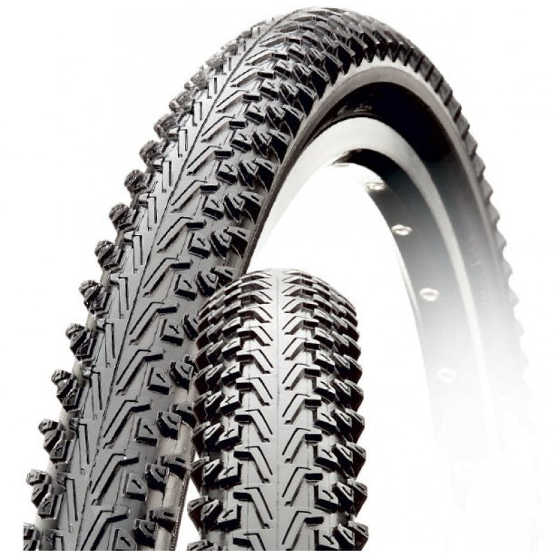 CST C1436 700 x 42C riepa