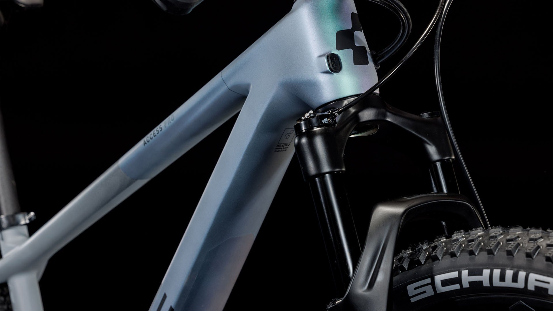 CUBE ACCESS WS C:62 PRO 29 naiste mägijalgratas – galactic´n´grey