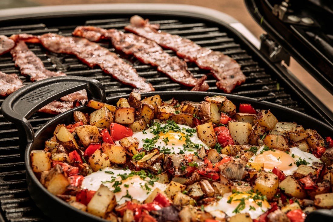 WEBER TRAVELER STEALTH Gas Grill, 9013069 - WEBER - Evelostore