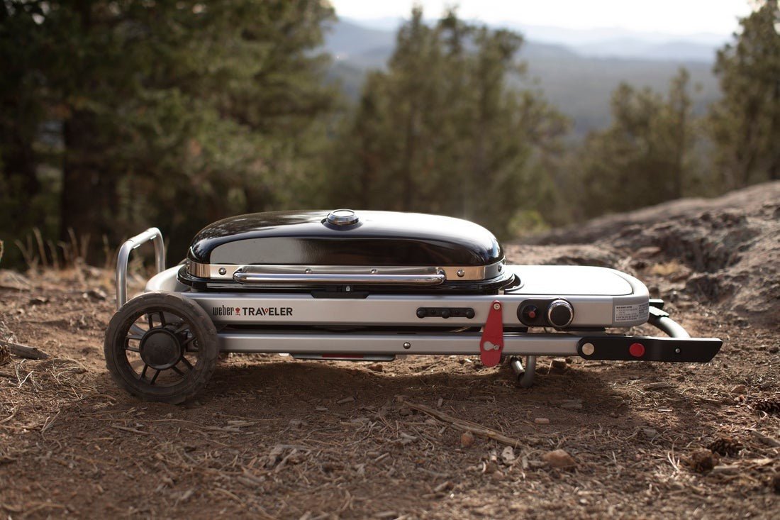 WEBER TRAVELER STEALTH Gas Grill, 9013069 - WEBER - Evelostore