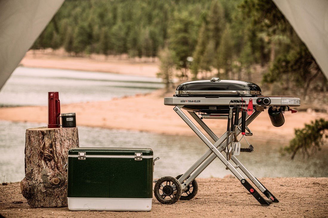 WEBER TRAVELER STEALTH Gas Grill, 9013069 - WEBER - Evelostore