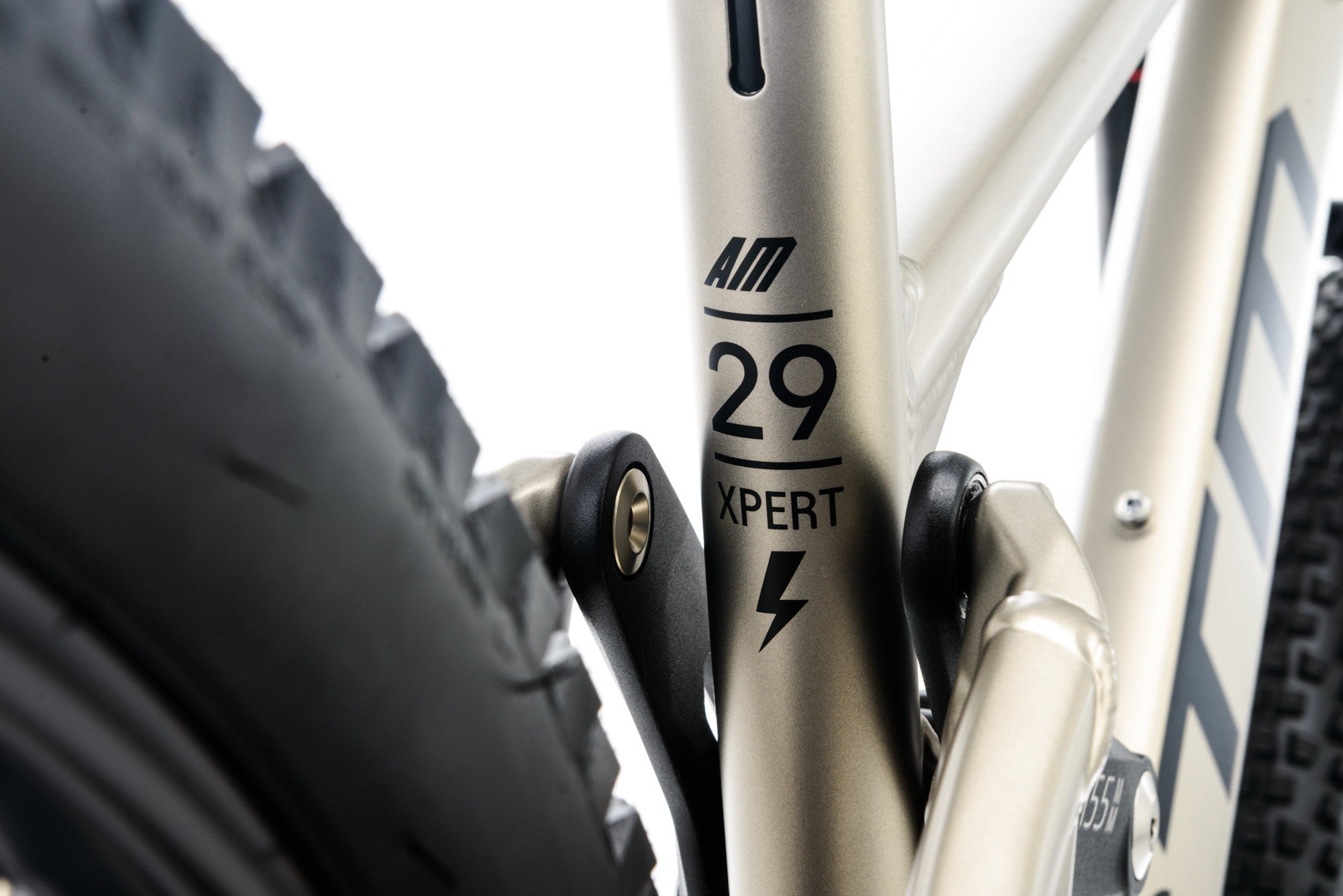 CTM SCROLL AM XPERT MTB 29" bicycle - beige