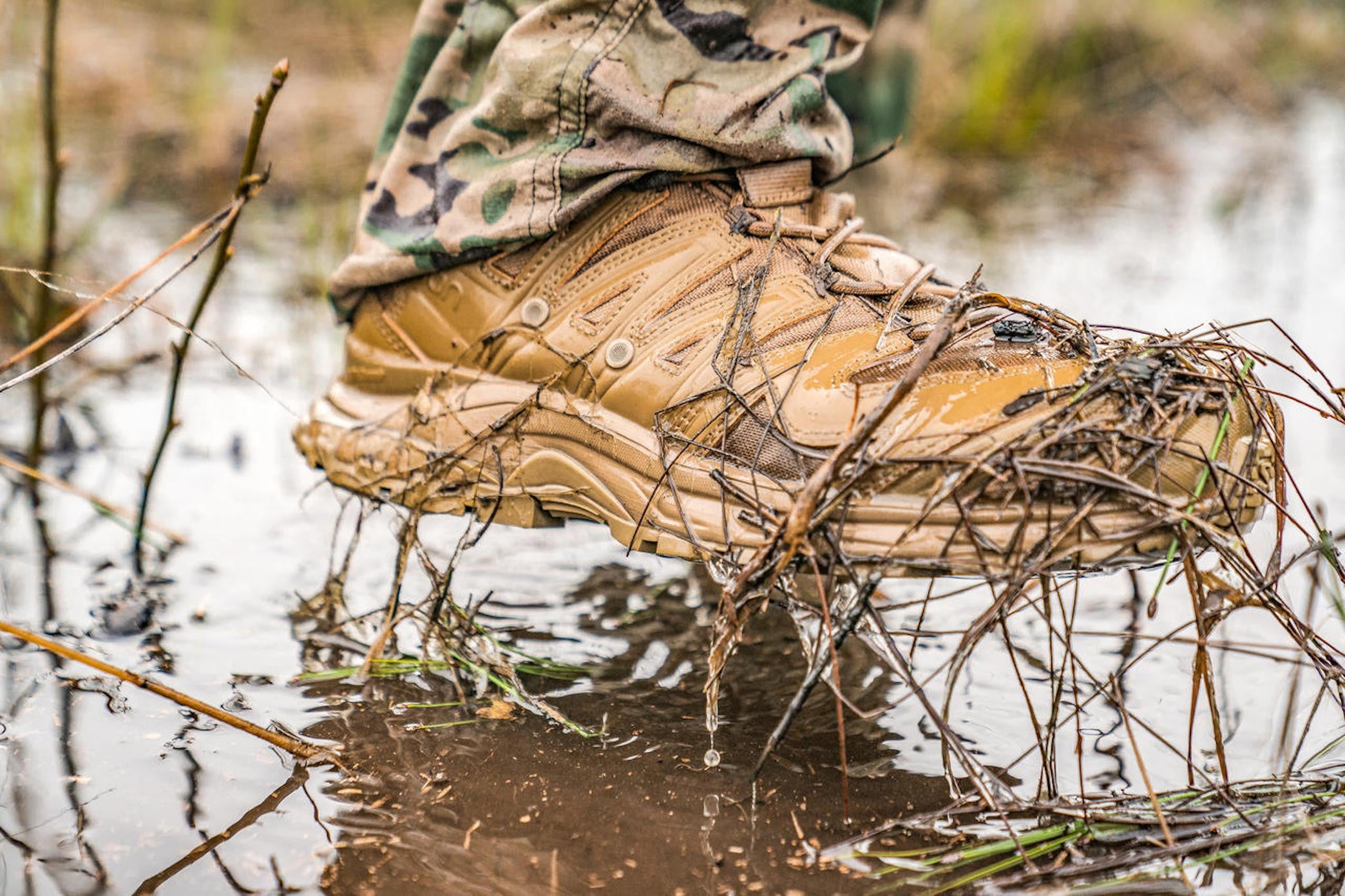 salomon forces coyote