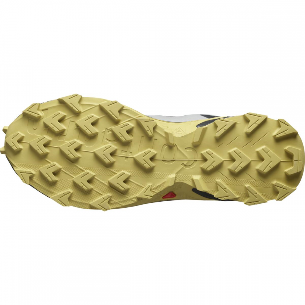 SALOMON SUPERCROSS 4 GTX trail running shoes - grey/brown
