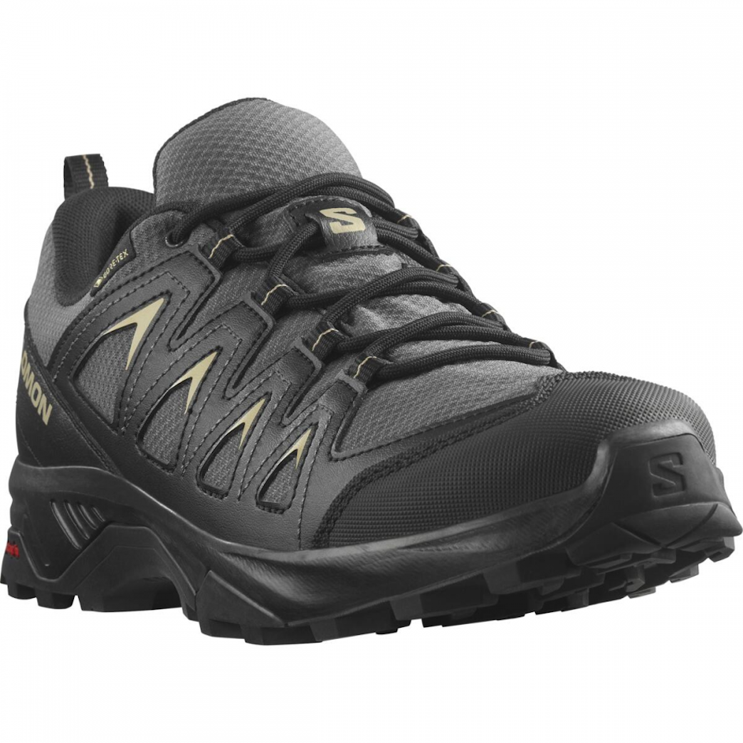 Chaussures de randonnée SALOMON X BRAZE GTX - noir/gris