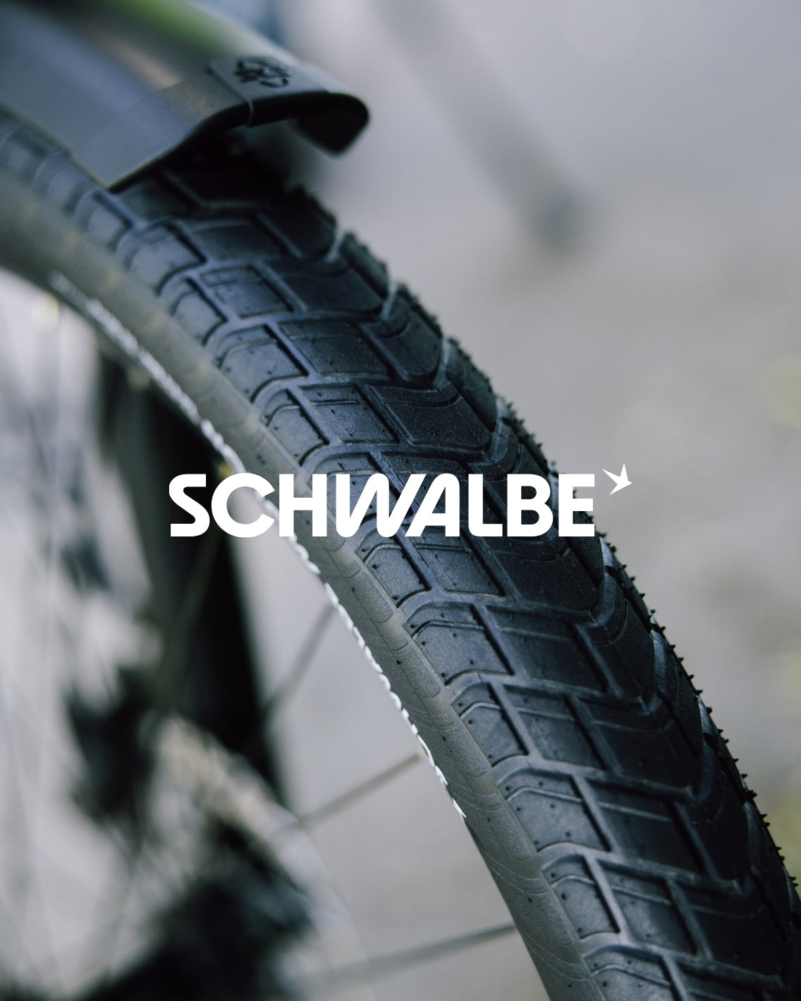 Close-up of a Schwalbe bicycle tire with blurred background