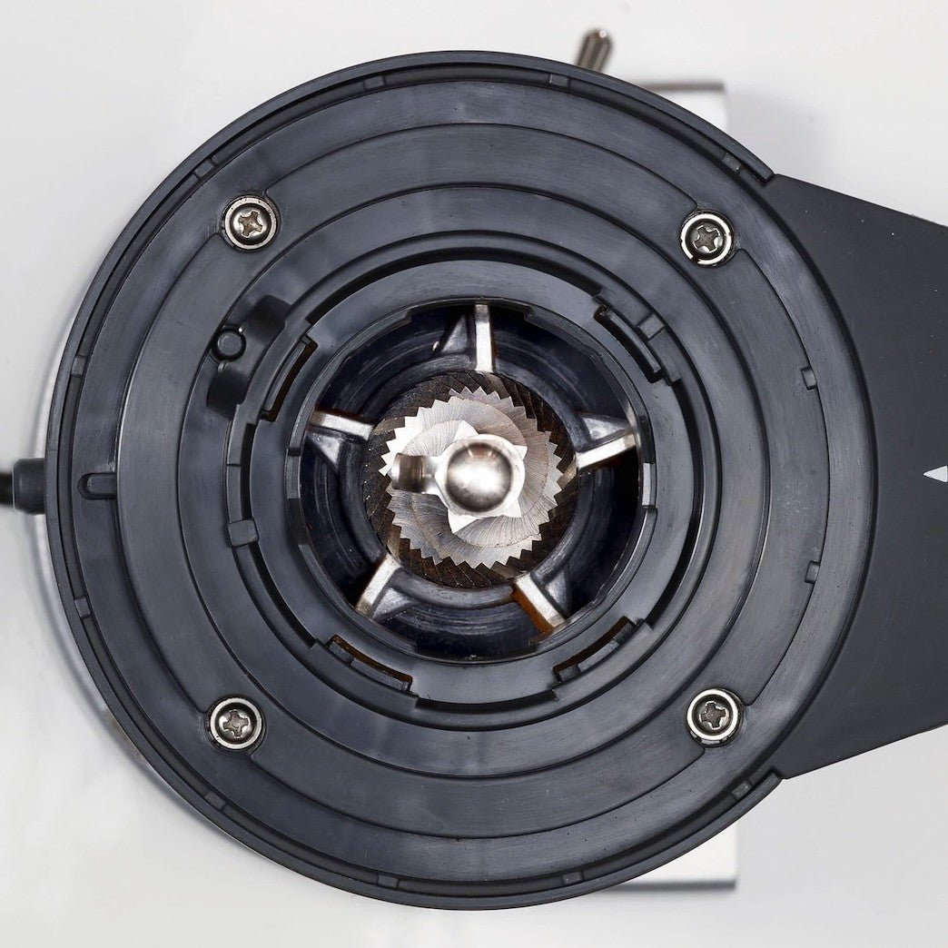 GRAEF CM800 coffee grinder - GRAEF - Evelostore