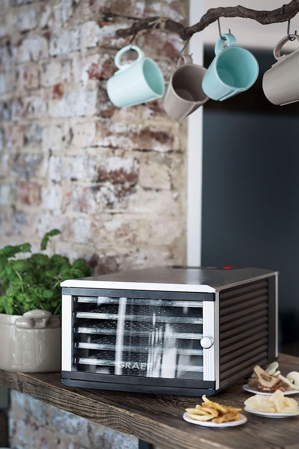 GRAEF DA506 dehydrator - GRAEF - Evelostore