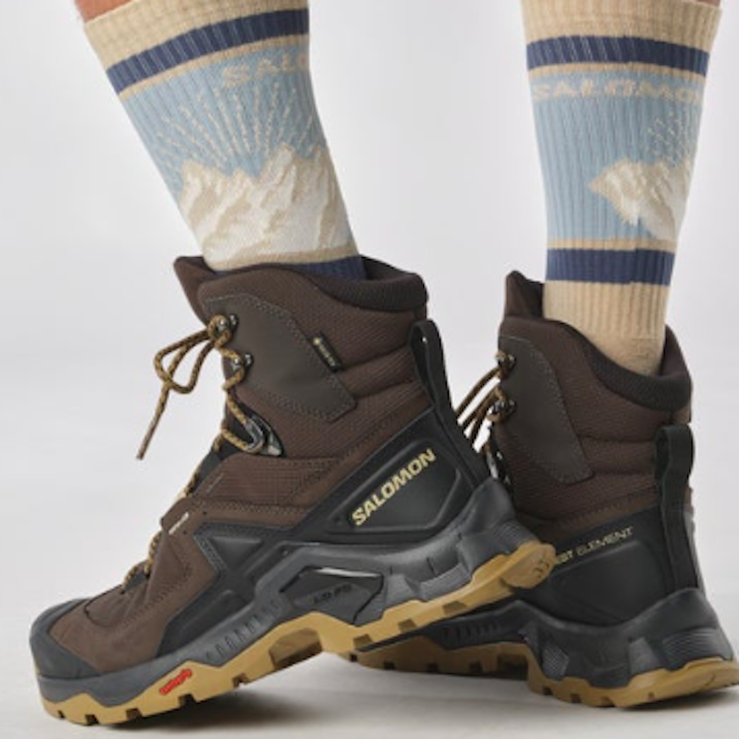 SALOMON QUEST ELEMENT GTX hiking boots - brown