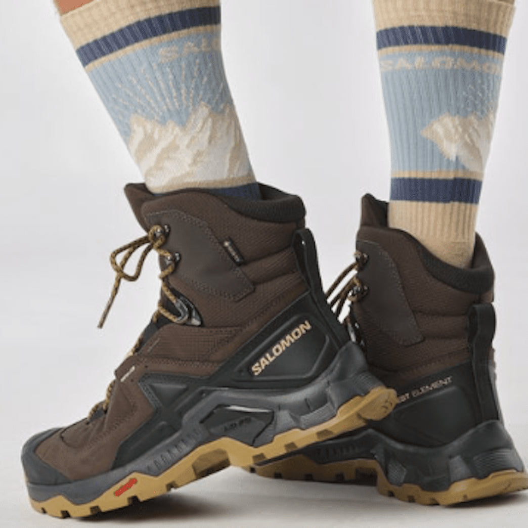SALOMON QUEST ELEMENT GTX hiking boots - brown - SALOMON - Evelostore