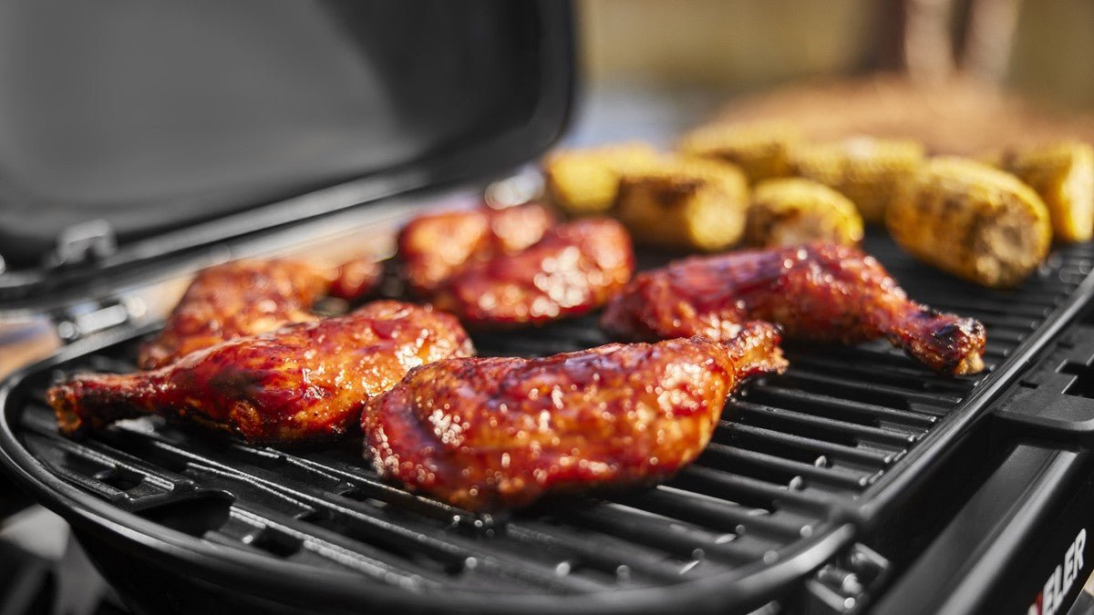 WEBER TRAVELER COMPACT gas grill, 1500553 - WEBER - Evelostore