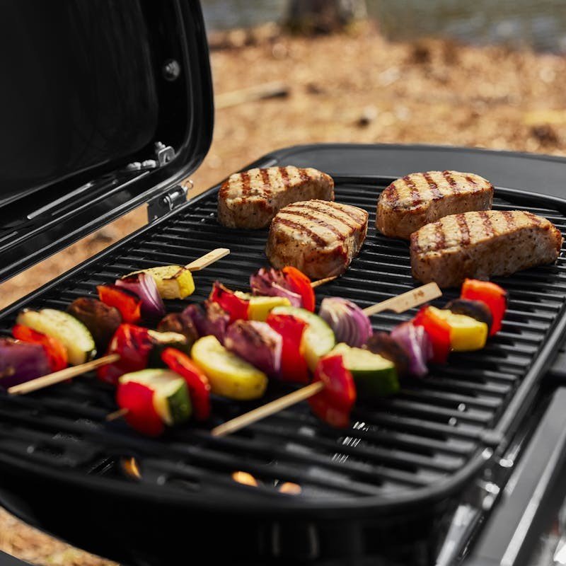 WEBER TRAVELER COMPACT gas grill, 1500553 - WEBER - Evelostore