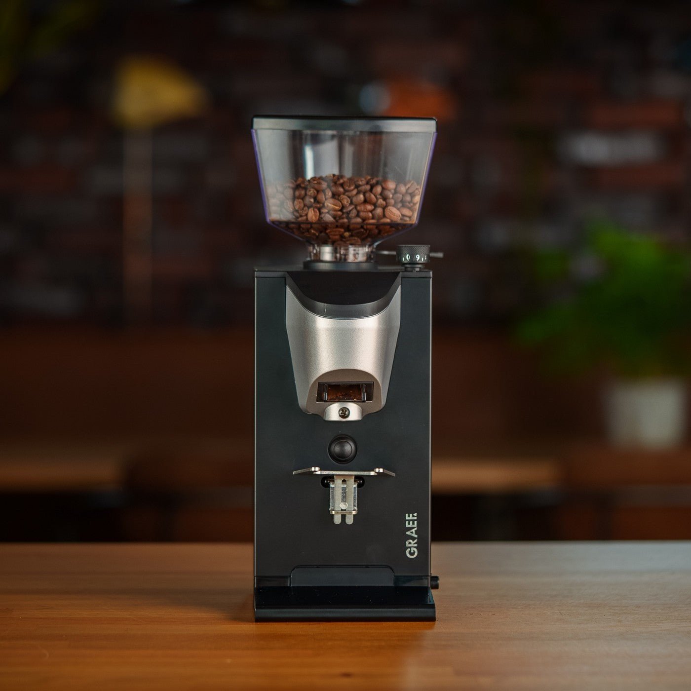 GRAEF CM1012 coffee grinder - GRAEF - Evelostore