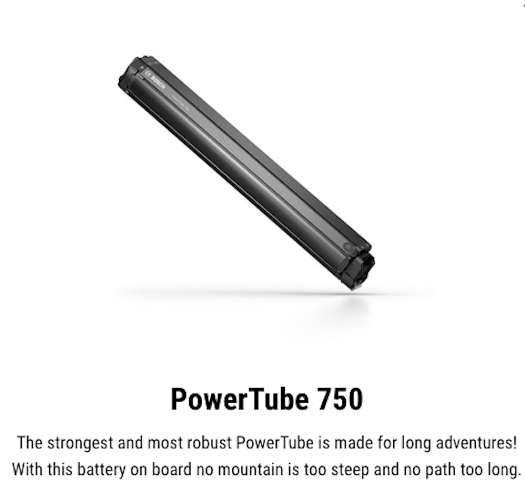 CUBE STEREO HYBRID 120 RACE 750 29 electric mountainbike - polarsilver´n´black