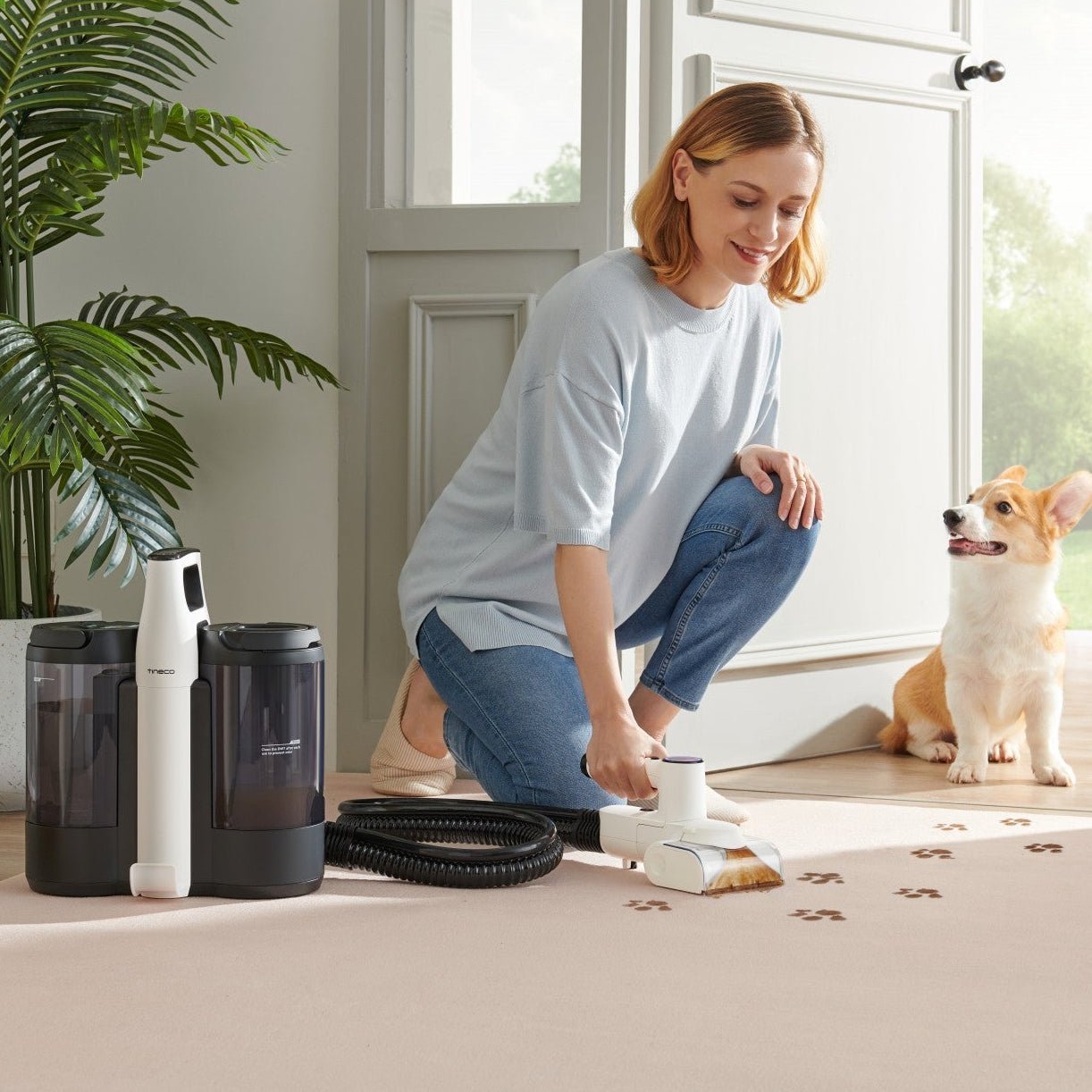 TINECO CARPET ONE SPOT stain removing vacuum cleaner - TINECO - Evelostore