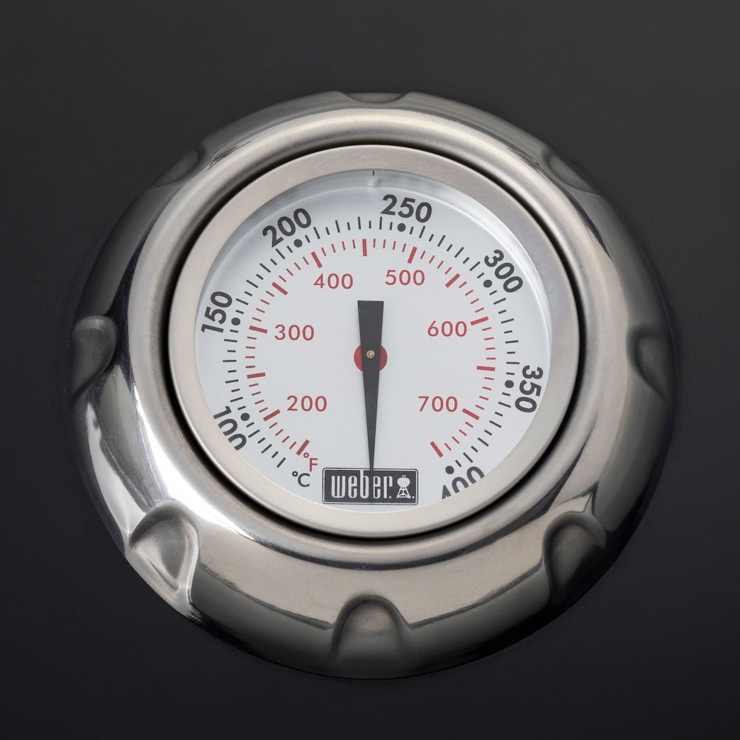 WEBER SUMMIT E - 470 GBS 7171075 gas grill - WEBER - Evelostore