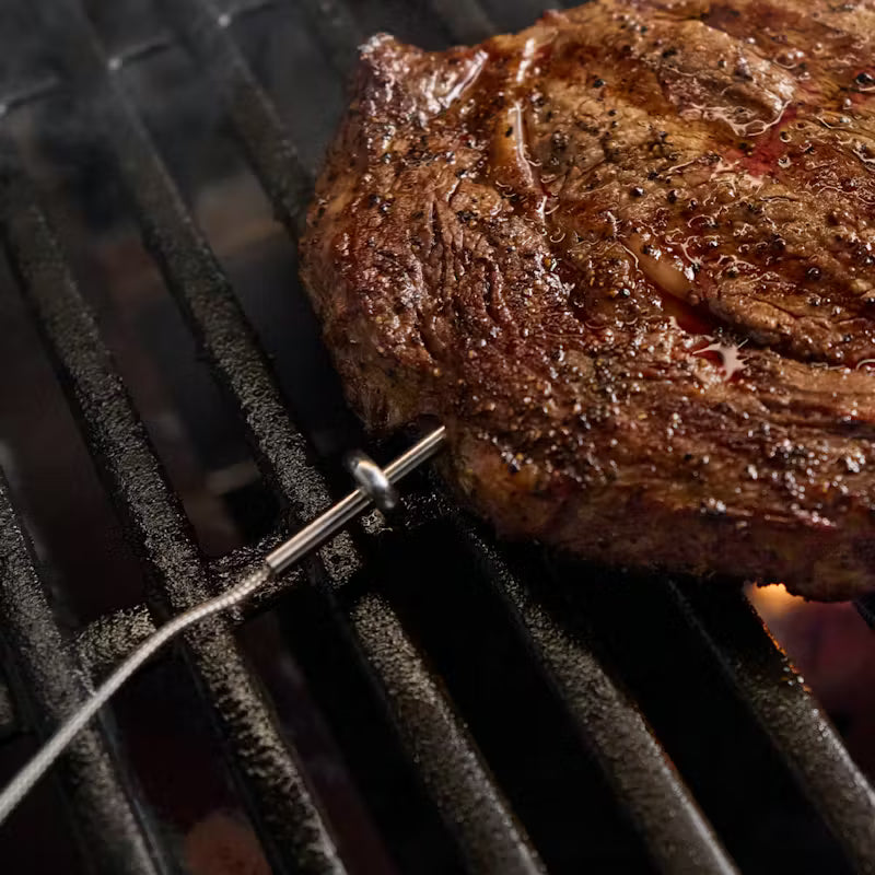 WEBER VERKABELTE LEBENSMITTELSONDE, 3400324