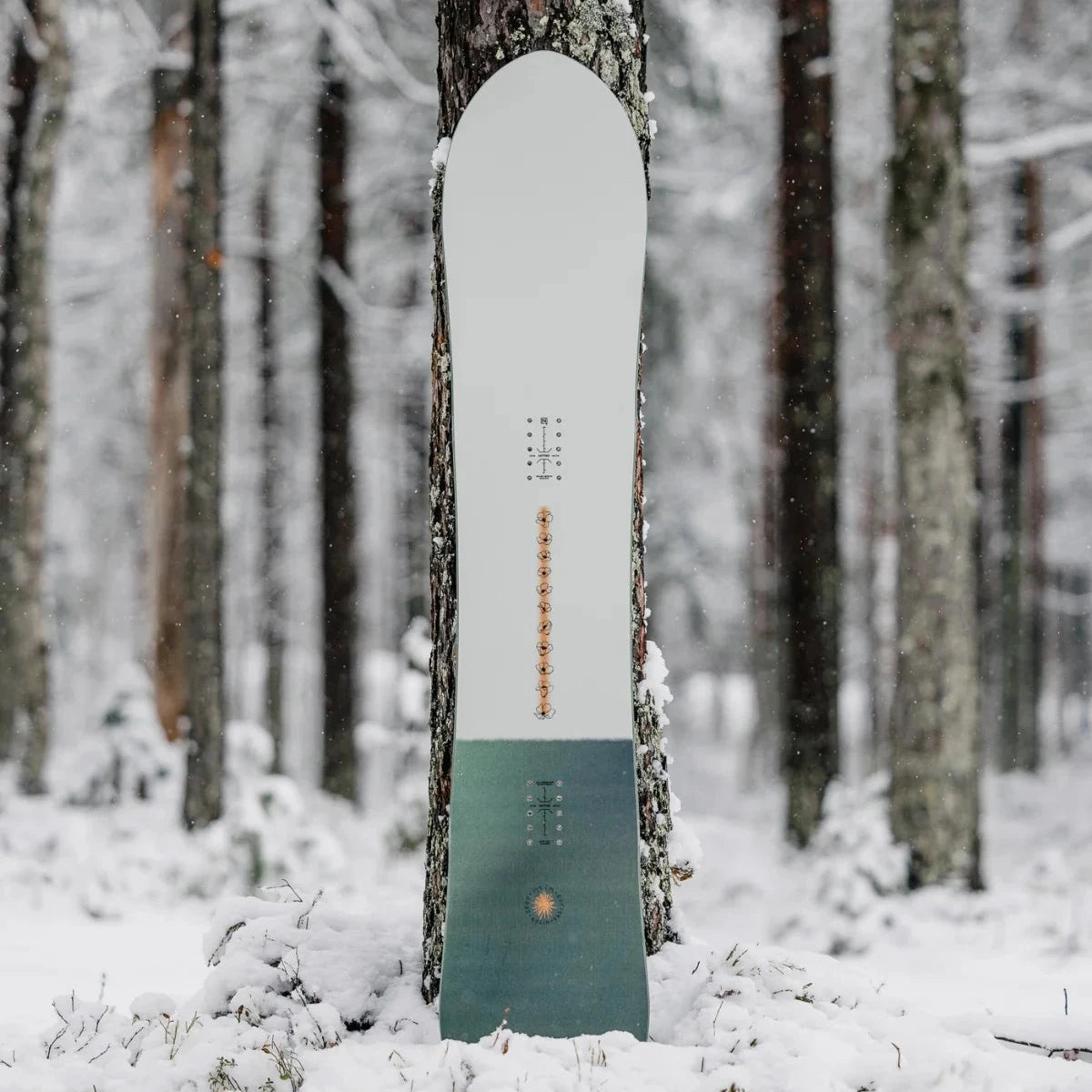 A snowboard leaning against a tree in a snowy forest. The snowboard has a white top section and a muted teal-green base section with small orange details.