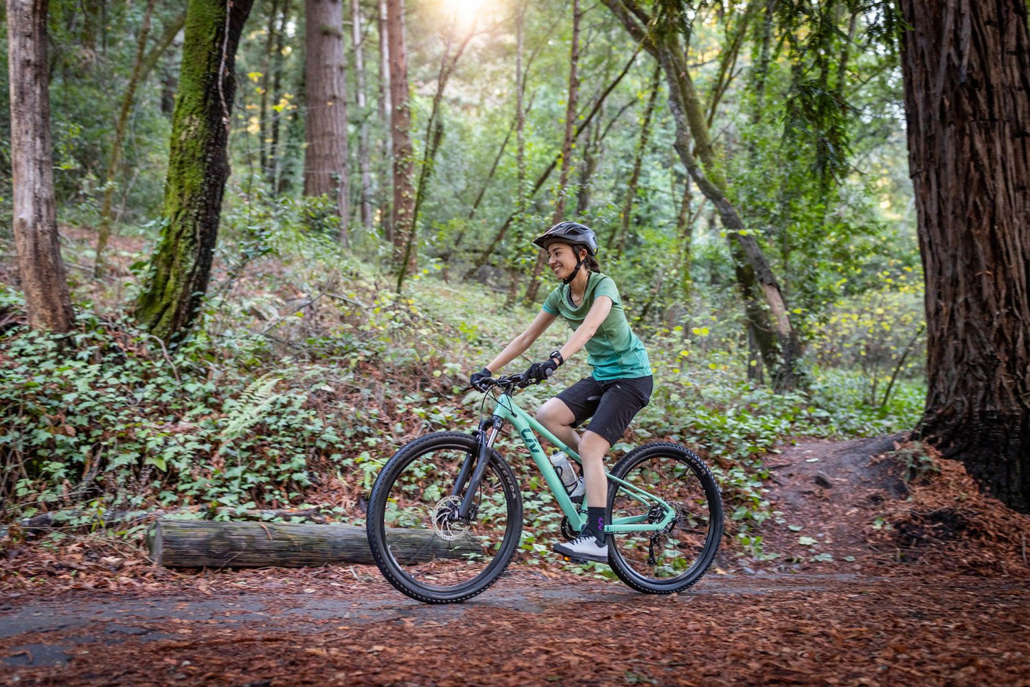 LIV TEMPT 2 GE Ocean Wave 29 women's mountainbike