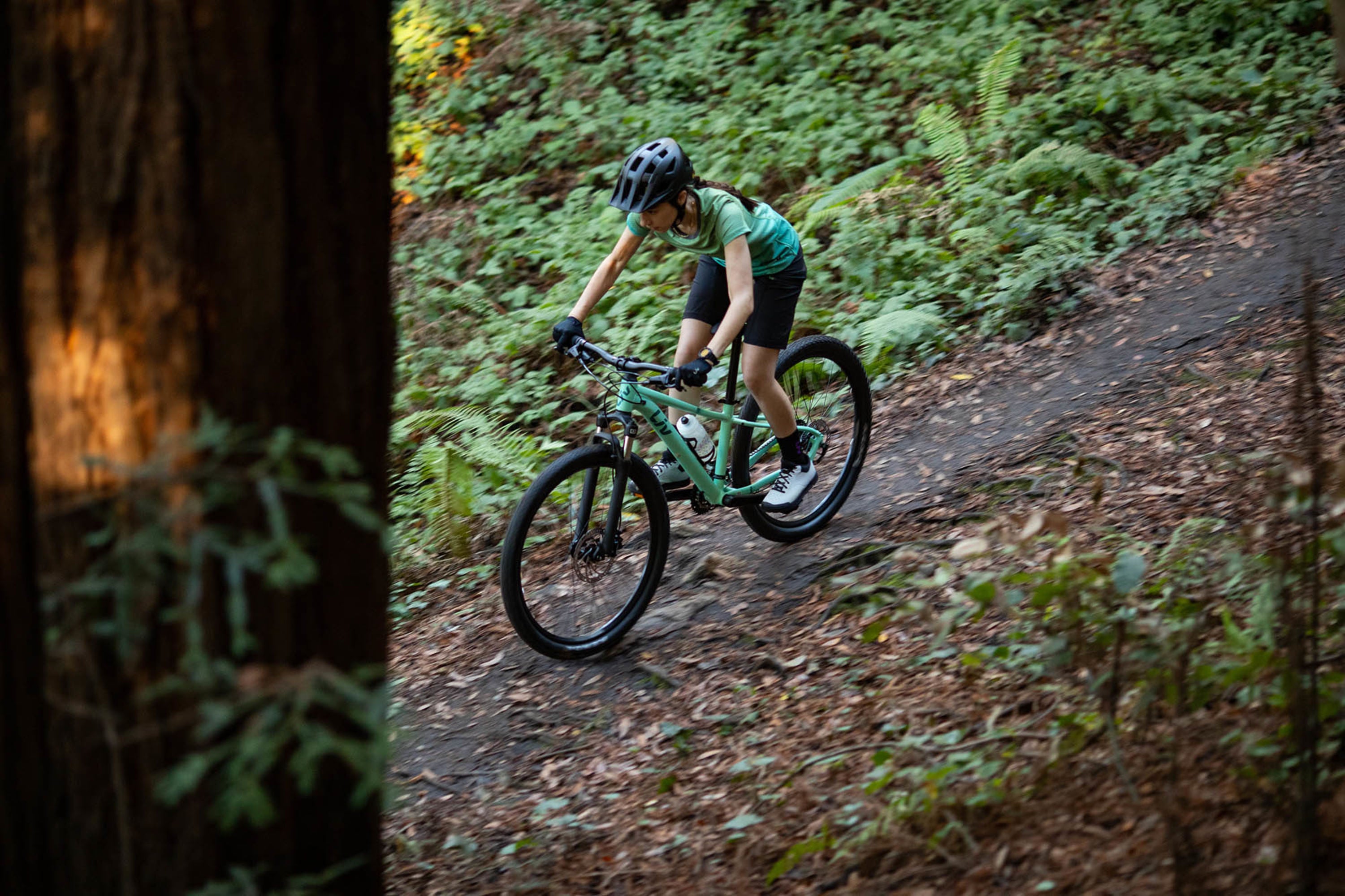 LIV TEMPT 2 GE Ocean Wave 27.5 Damen Mountainbike