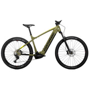 CORRATEC E-POWER X VERT ELITE GENT 29 Elektrofahrrad – grün