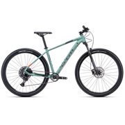 CTM RAMBLER 4.0 MTB 29" bicycle - green