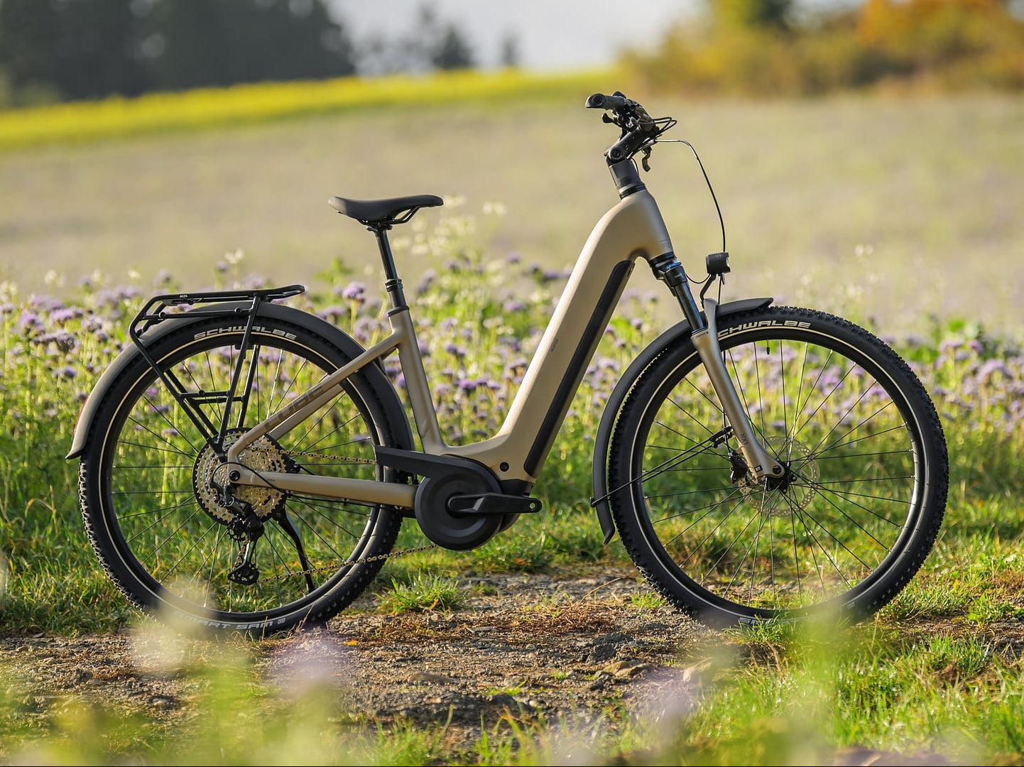 An electric bicycle in a light beige frame with black tires and components, parked on a grassy path in a sunlit field of purple flowers.