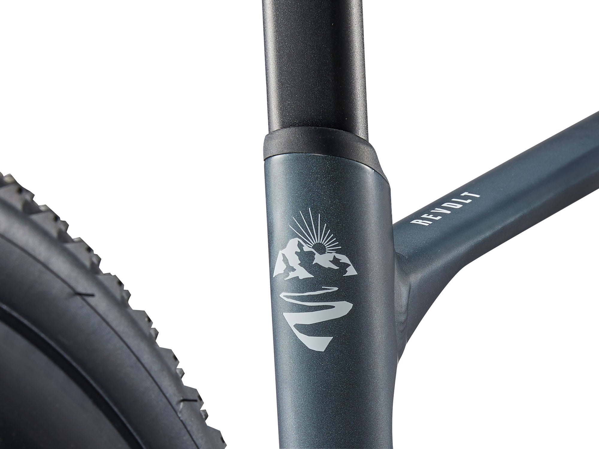 GIANT REVOLT 2 gravel bike - Asphalt Green