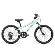 CTM JERRY 2.0 20 kids bicycle - pastel green - CTM - Evelostore