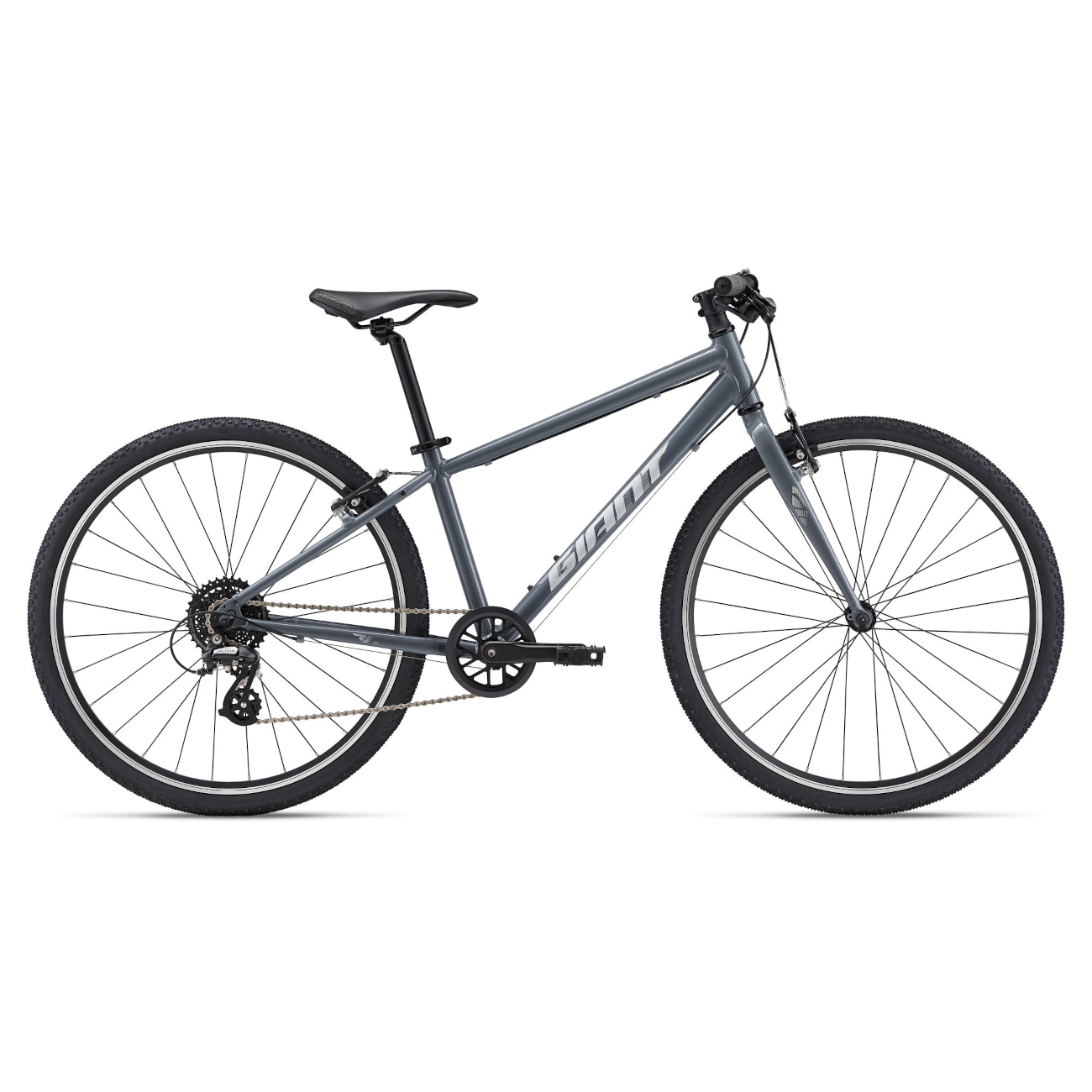 GIANT ARX 26" bicycle - grey